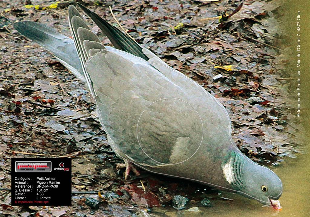 Blason Nature Maximal - Pigeon
