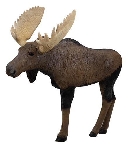 Cible 3D Moose 1/3 Scale - Rinehart Archery