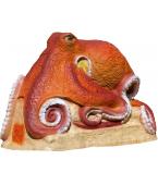 Cible 3D SRT - Octopus