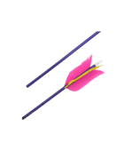 Flèches FLU FLU Alu + BLUNT - STAR Archerie