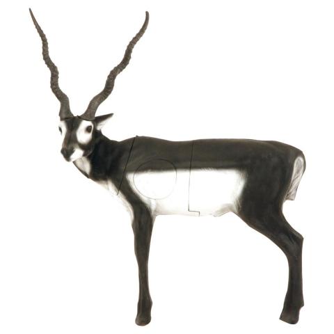 Cible-3D-Delta-McKenzie-Antilope-cervicapre-CIB22081207