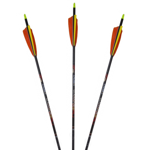 Fleches-Gladiator-plumes-naturelles-6-2MM-Cross-X-Archery-TS2308302143