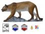 Cible-3D-SRT-Puma-Lion-des-montagnes-CIB23030203