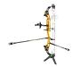 Package compound cible hero 10 II - Sanlida Archery Couleur : Gold