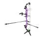 Package compound cible hero 10 II - Sanlida Archery Couleur : Violet