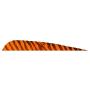Plumes naturelles 3 shield tigrées à l'unité Gateway Couleur : Orange