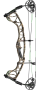 Arc à poulies Chasse en PACKAGE TORREX CW - HOYT Couleur Camo Hoyt : Realtree&#x000000ae; Edge&#x00002122; Bone Collector