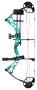 Package Arc à Poulies Chasse Infinite 305 Diamond By Bowtech Couleur Bowtech : Teal Country Roots