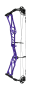Arc à poulies de tir cible ReZult - Elite Archery Couleur Elite Archery : Purple Rain